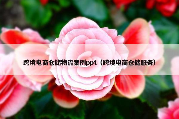 跨境电商仓储物流案例ppt（跨境电商仓储服务）