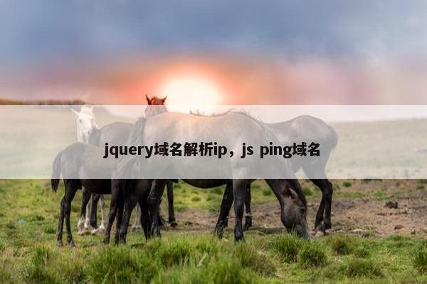 jquery域名解析ip，js ping域名