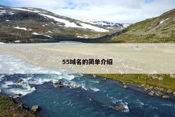 55域名的简单介绍