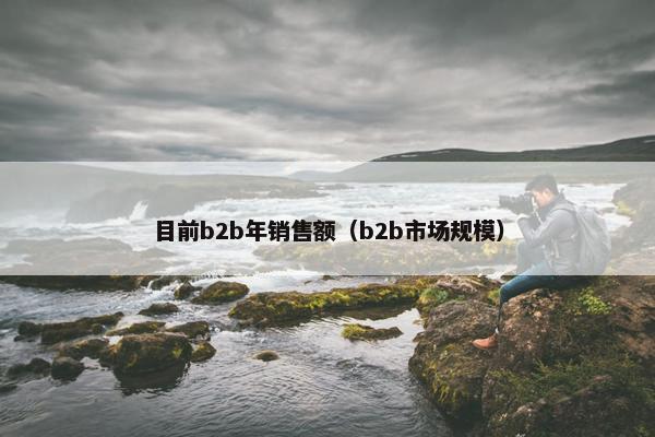 目前b2b年销售额（b2b市场规模）