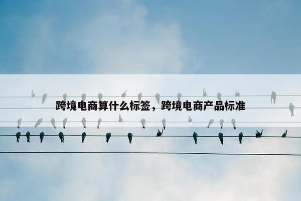 跨境电商算什么标签，跨境电商产品标准