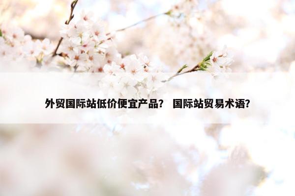 外贸国际站低价便宜产品？ 国际站贸易术语？
