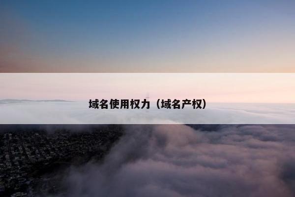 域名使用权力（域名产权）