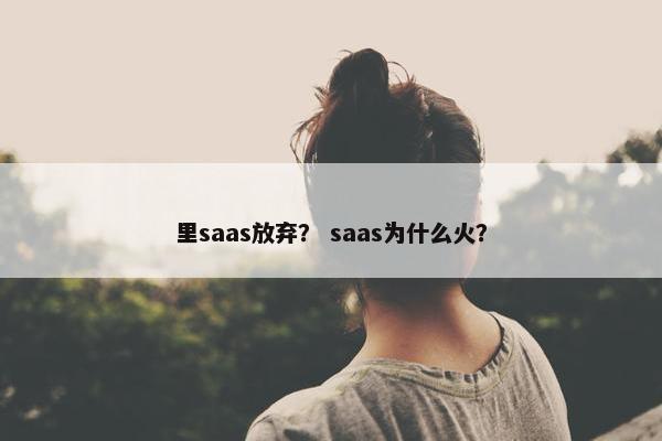 里saas放弃？ saas为什么火？