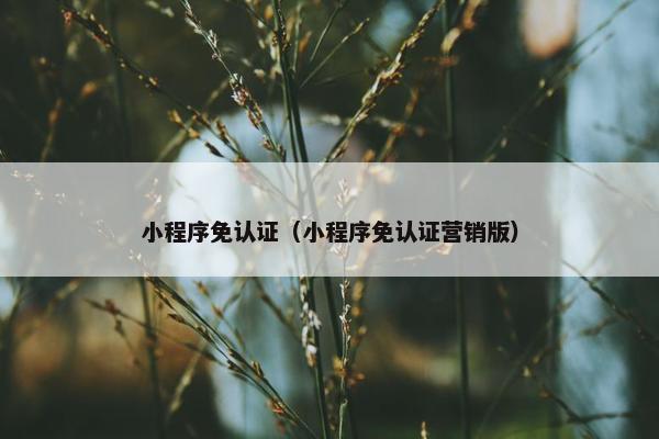 小程序免认证（小程序免认证营销版）
