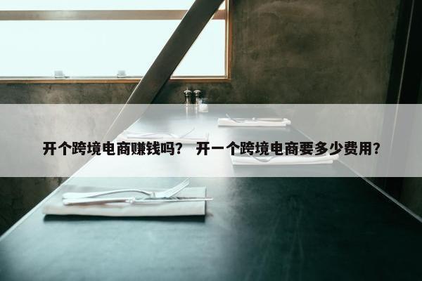 开个跨境电商赚钱吗？ 开一个跨境电商要多少费用？