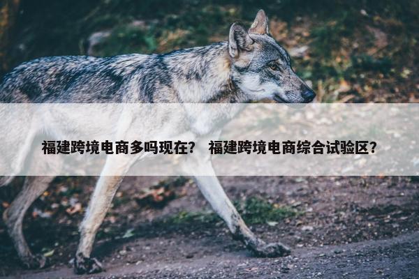 福建跨境电商多吗现在？ 福建跨境电商综合试验区？