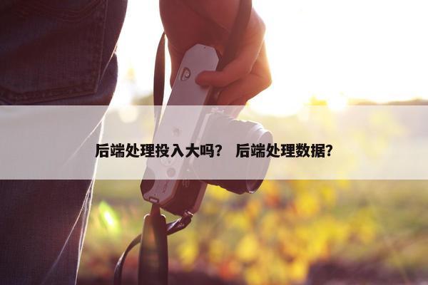 后端处理投入大吗？ 后端处理数据？