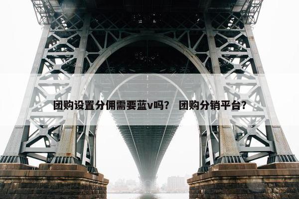 团购设置分佣需要蓝v吗？ 团购分销平台？