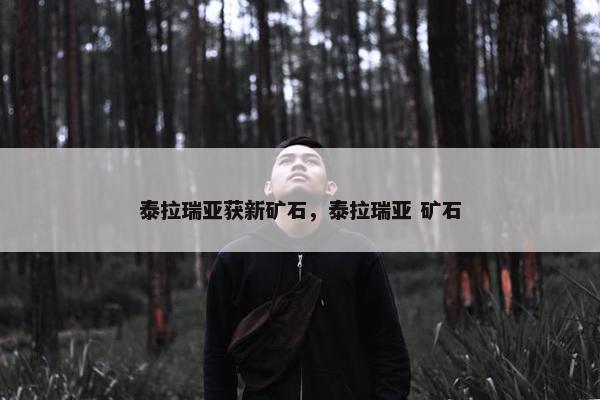 泰拉瑞亚获新矿石，泰拉瑞亚 矿石