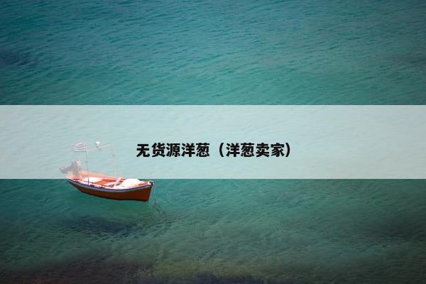 无货源洋葱（洋葱卖家）