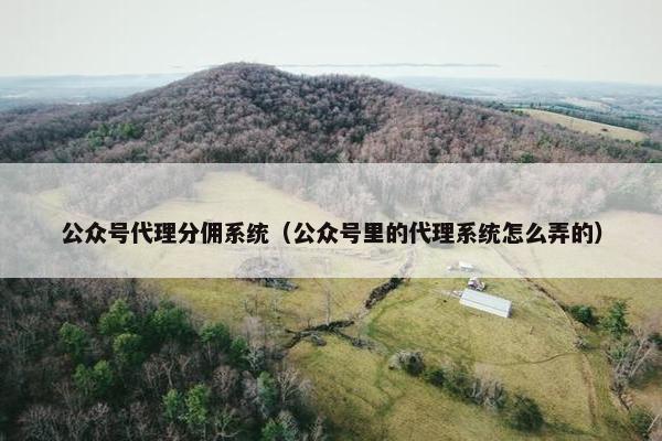 公众号代理分佣系统（公众号里的代理系统怎么弄的）