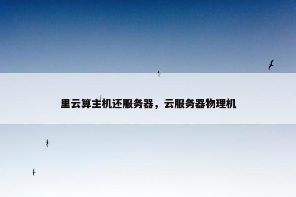 里云算主机还服务器，云服务器物理机