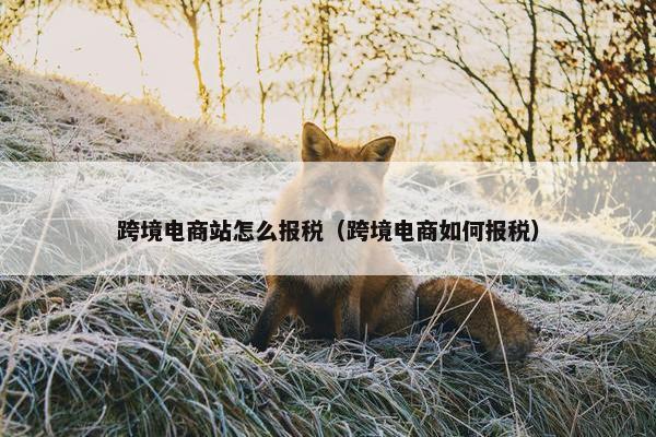跨境电商站怎么报税（跨境电商如何报税）