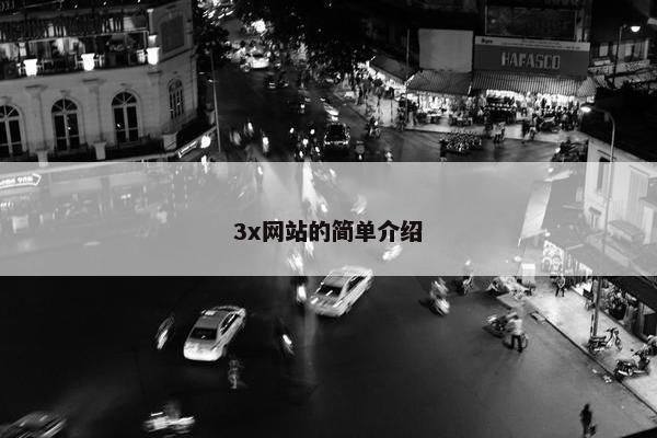 3x网站的简单介绍