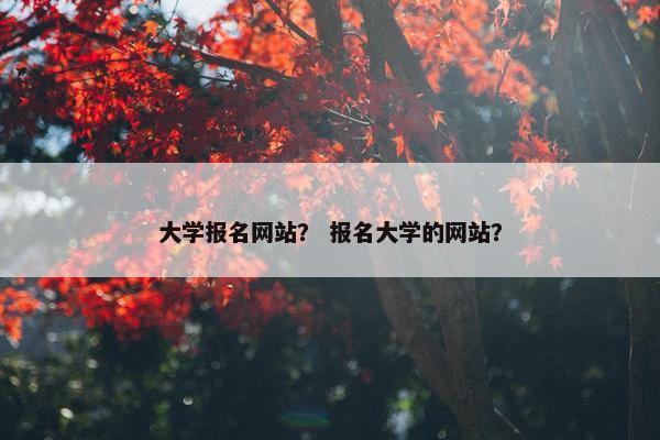 大学报名网站？ 报名大学的网站？