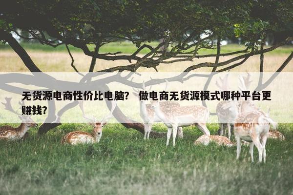 无货源电商性价比电脑？ 做电商无货源模式哪种平台更赚钱？