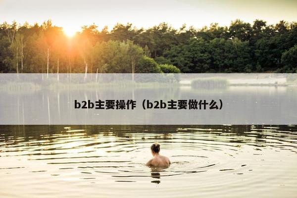 b2b主要操作（b2b主要做什么）
