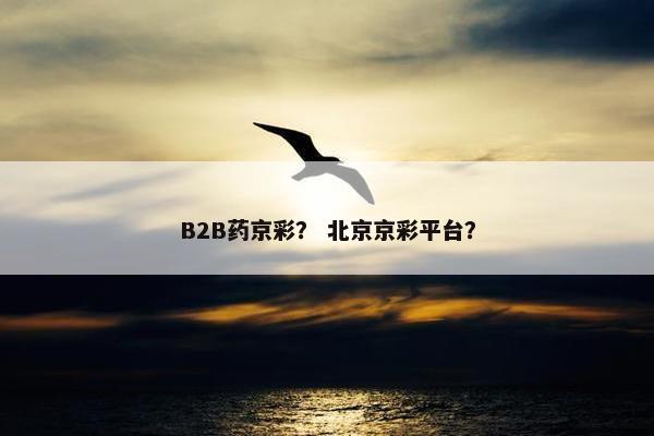 B2B药京彩？ 北京京彩平台？