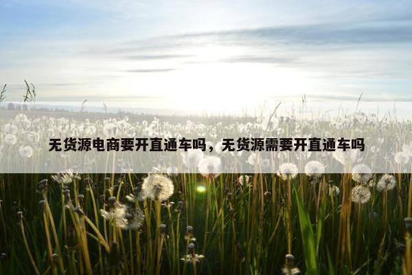 无货源电商要开直通车吗，无货源需要开直通车吗