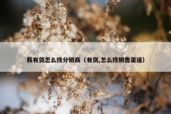 我有货怎么找分销商（有货,怎么找销售渠道）