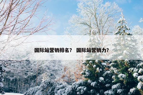 国际站营销排名？ 国际站营销力？