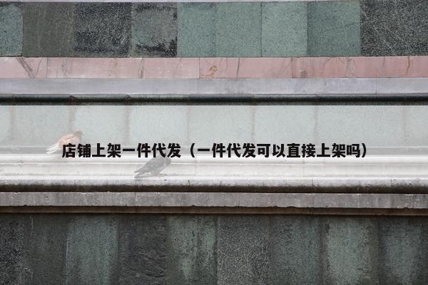 店铺上架一件代发（一件代发可以直接上架吗）