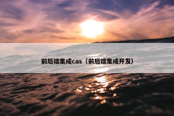 前后端集成cas（前后端集成开发）