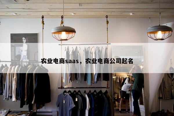 农业电商saas，农业电商公司起名