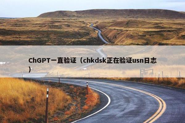 ChGPT一直验证（chkdsk正在验证usn日志）