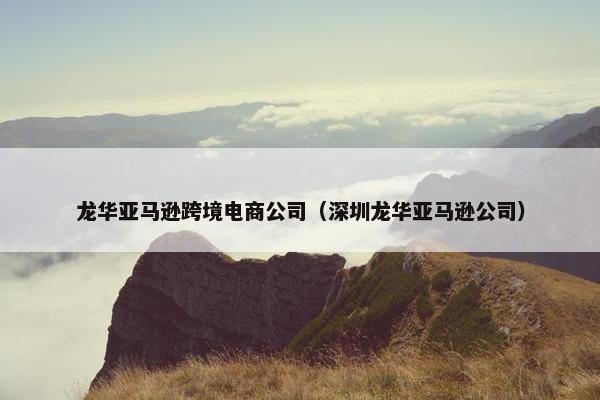 龙华亚马逊跨境电商公司（深圳龙华亚马逊公司）