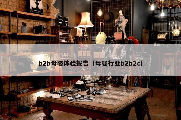 b2b母婴体验报告（母婴行业b2b2c）