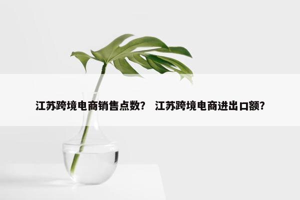 江苏跨境电商销售点数？ 江苏跨境电商进出口额？