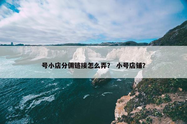 号小店分佣链接怎么弄？ 小号店铺？