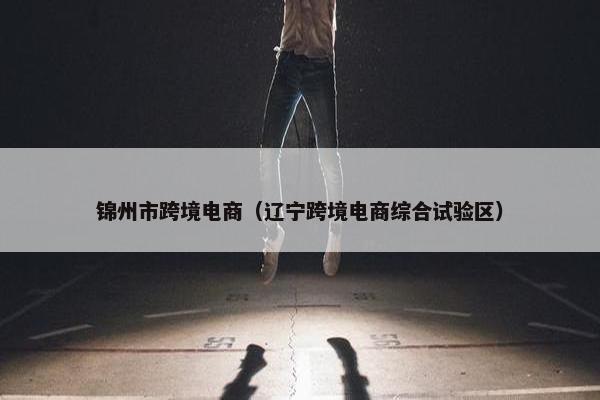 锦州市跨境电商（辽宁跨境电商综合试验区）