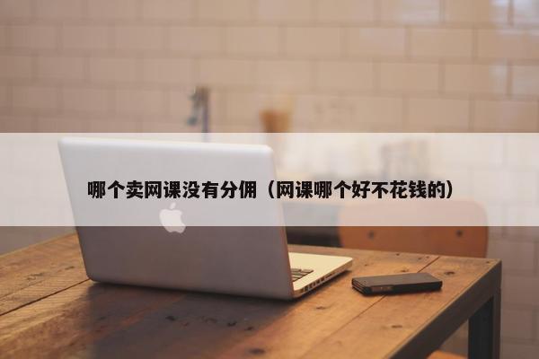 哪个卖网课没有分佣（网课哪个好不花钱的）