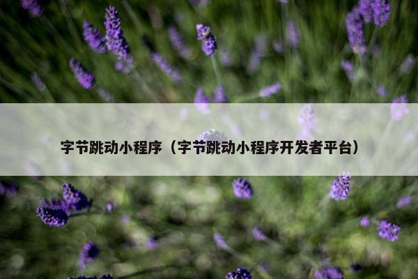 字节跳动小程序（字节跳动小程序开发者平台）