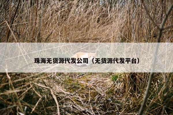 珠海无货源代发公司（无货源代发平台）
