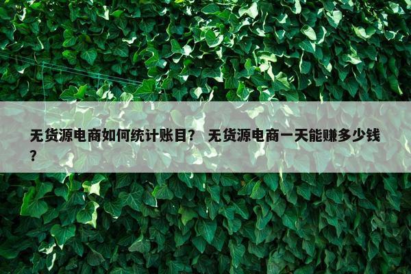 无货源电商如何统计账目？ 无货源电商一天能赚多少钱？