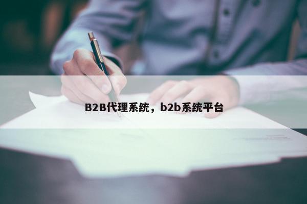 B2B代理系统，b2b系统平台