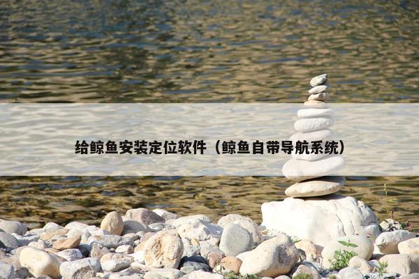 给鲸鱼安装定位软件（鲸鱼自带导航系统）