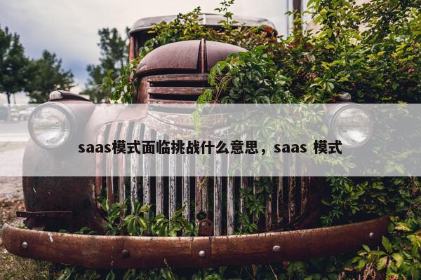 saas模式面临挑战什么意思，saas 模式