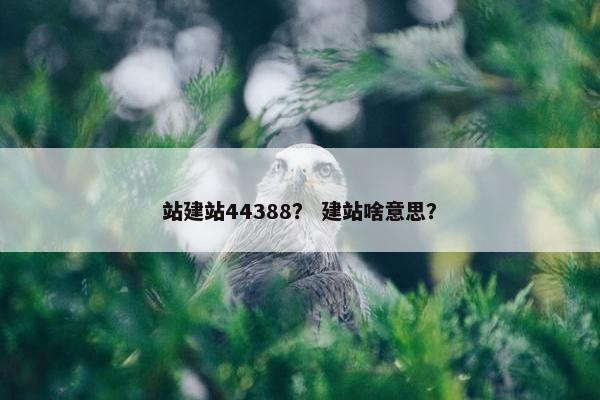 站建站44388？ 建站啥意思？