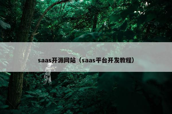 saas开源网站（saas平台开发教程）