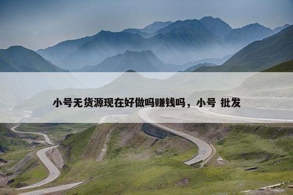小号无货源现在好做吗赚钱吗，小号 批发