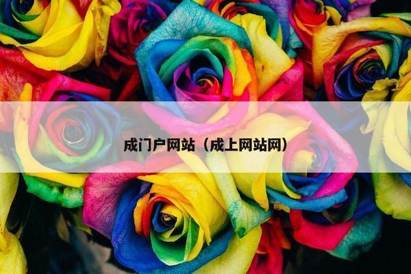 成门户网站（成上网站网）
