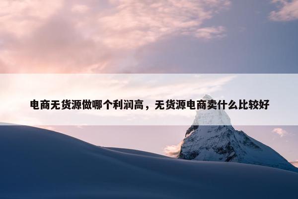 电商无货源做哪个利润高，无货源电商卖什么比较好