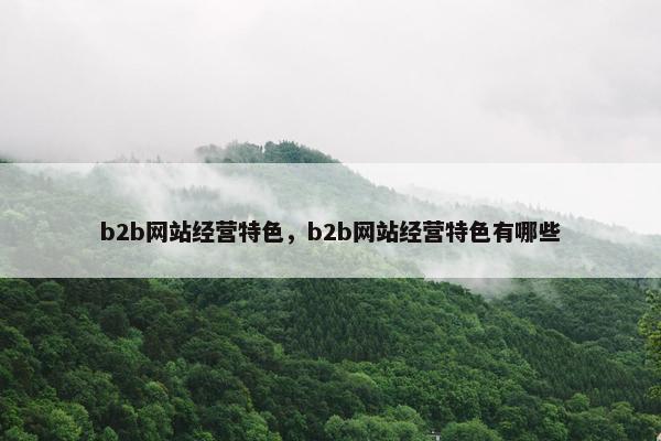 b2b网站经营特色，b2b网站经营特色有哪些