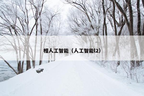 相人工智能（人工智能l2）