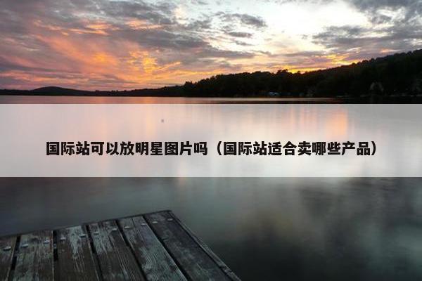 国际站可以放明星图片吗（国际站适合卖哪些产品）